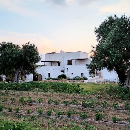 Masseria Piccole Taverne Rosa Marina Dış mekan fotoğraf