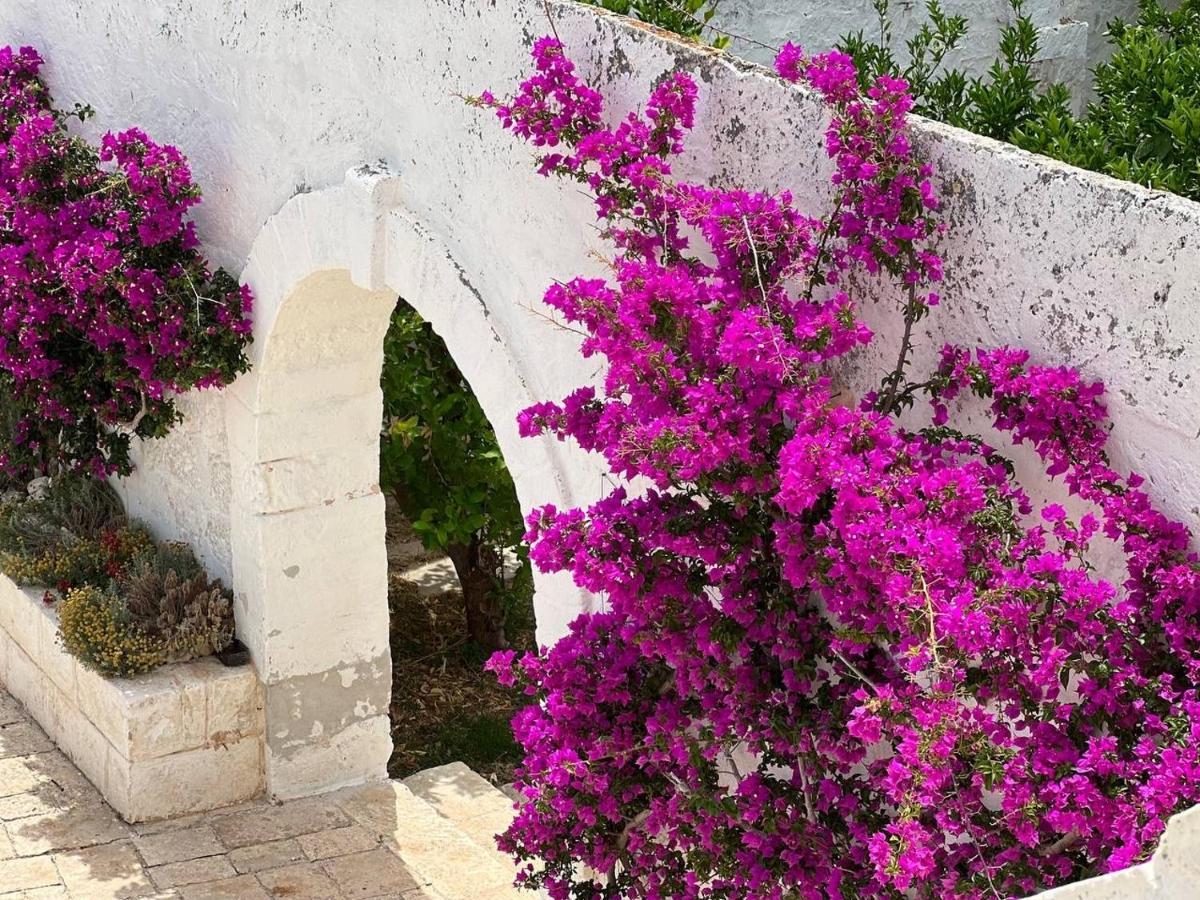 Masseria Piccole Taverne Rosa Marina Dış mekan fotoğraf