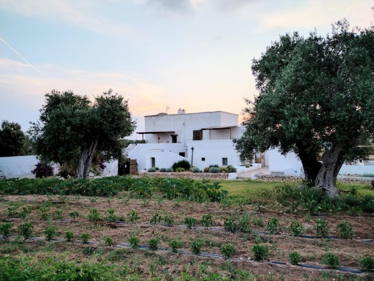 Masseria Piccole Taverne Rosa Marina Dış mekan fotoğraf