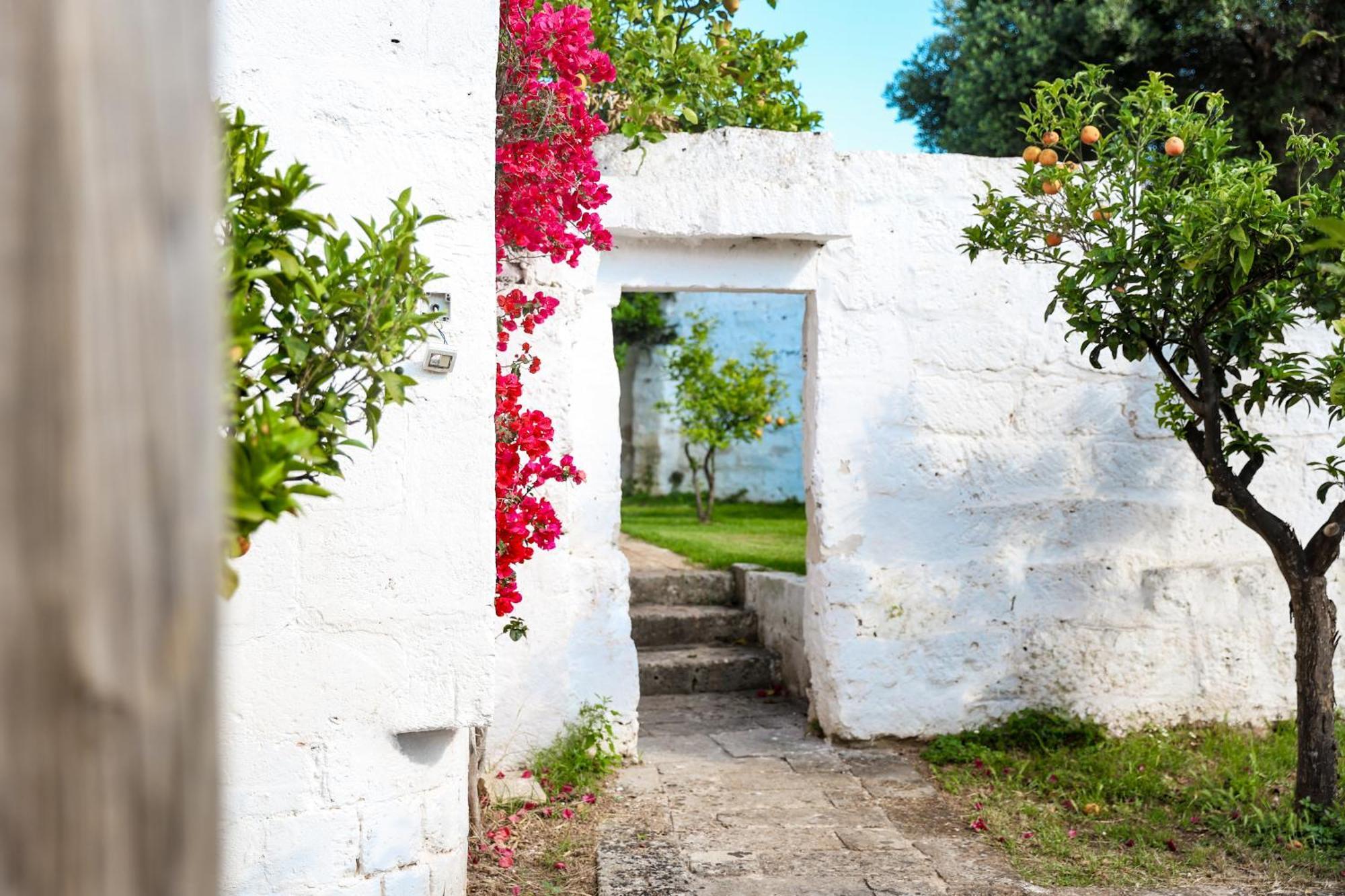 Masseria Piccole Taverne Rosa Marina Dış mekan fotoğraf
