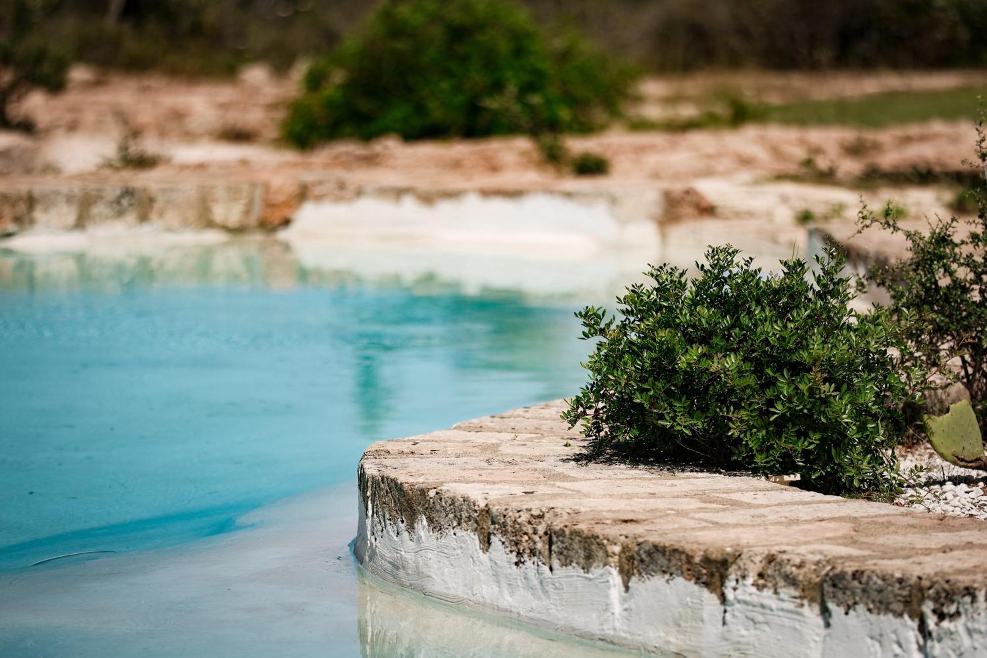 Masseria Piccole Taverne Rosa Marina Dış mekan fotoğraf