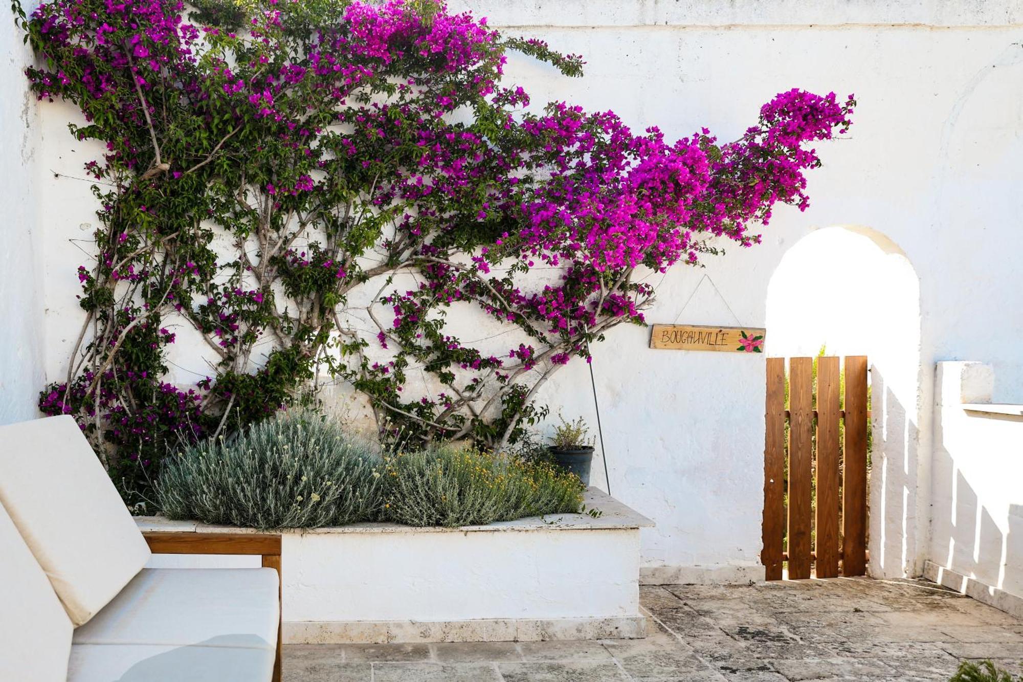 Masseria Piccole Taverne Rosa Marina Dış mekan fotoğraf