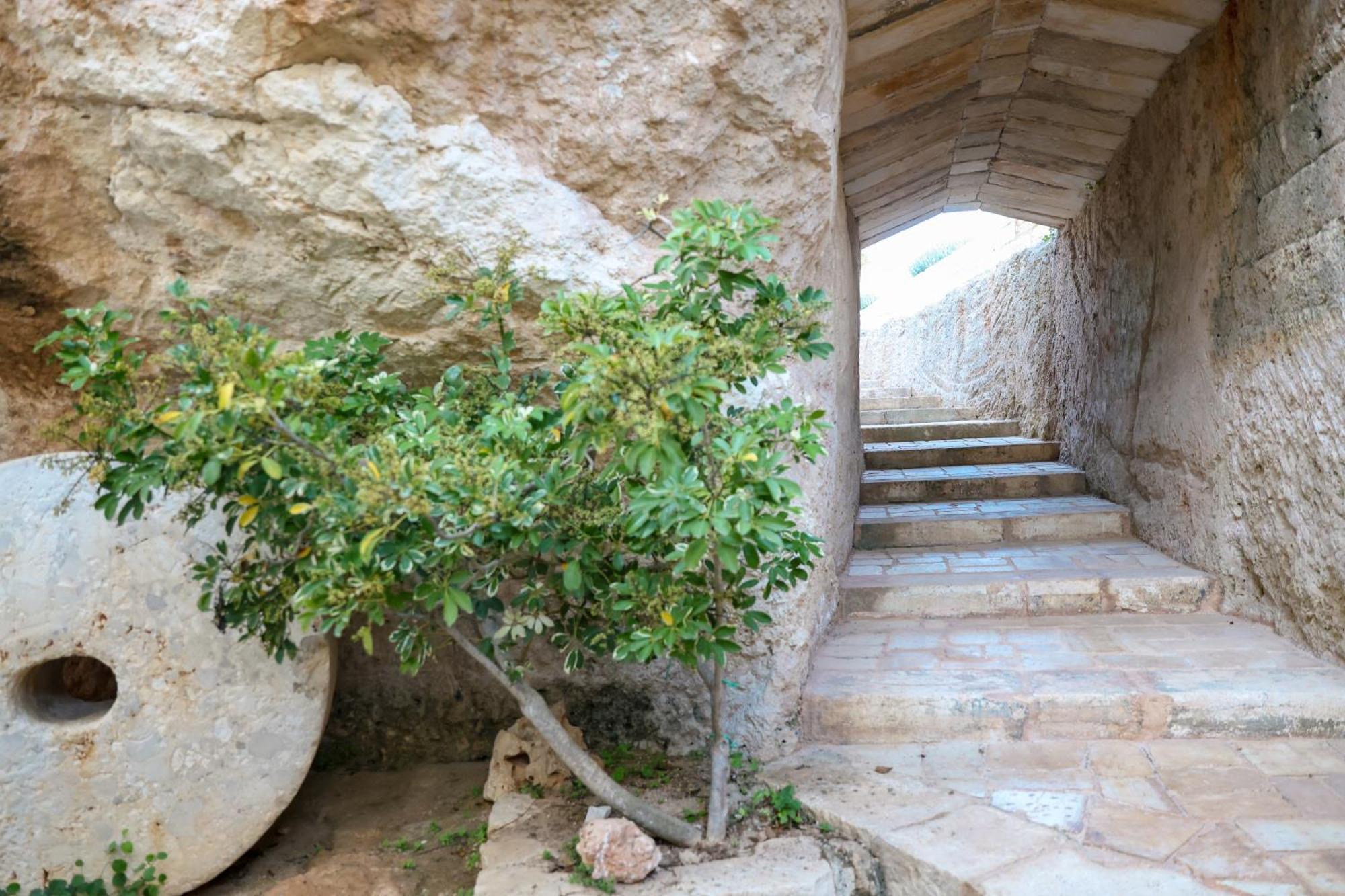 Masseria Piccole Taverne Rosa Marina Dış mekan fotoğraf