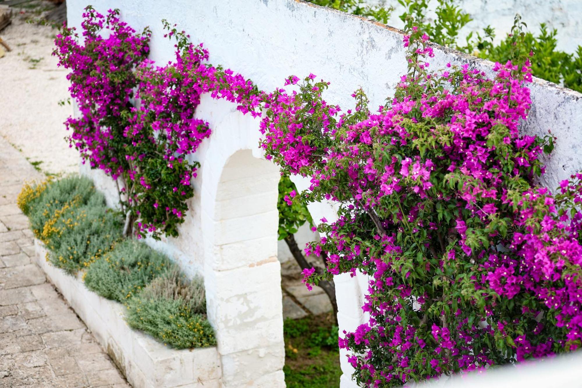 Masseria Piccole Taverne Rosa Marina Dış mekan fotoğraf