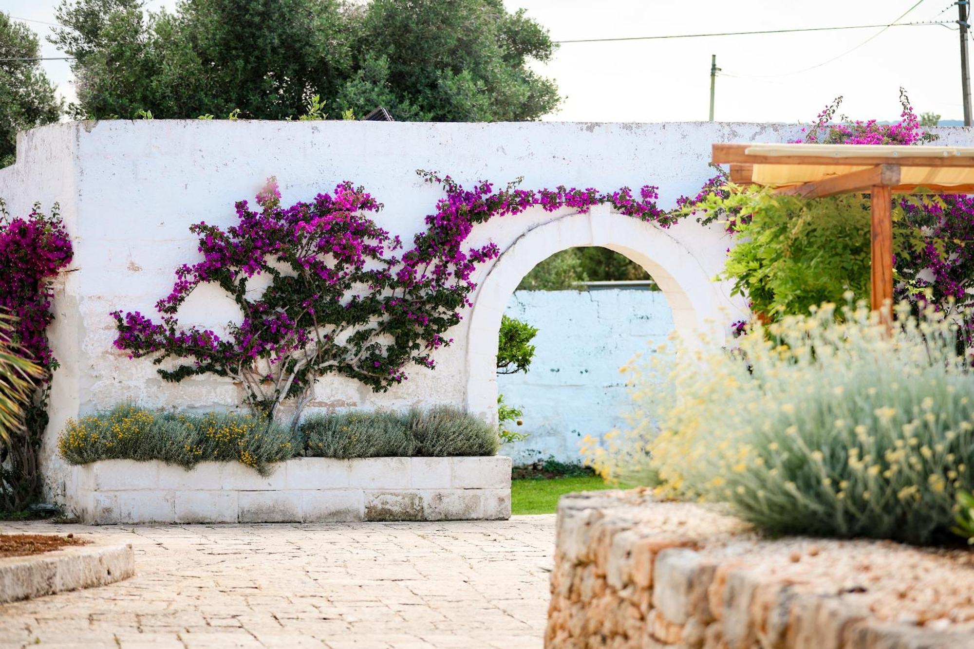 Masseria Piccole Taverne Rosa Marina Dış mekan fotoğraf