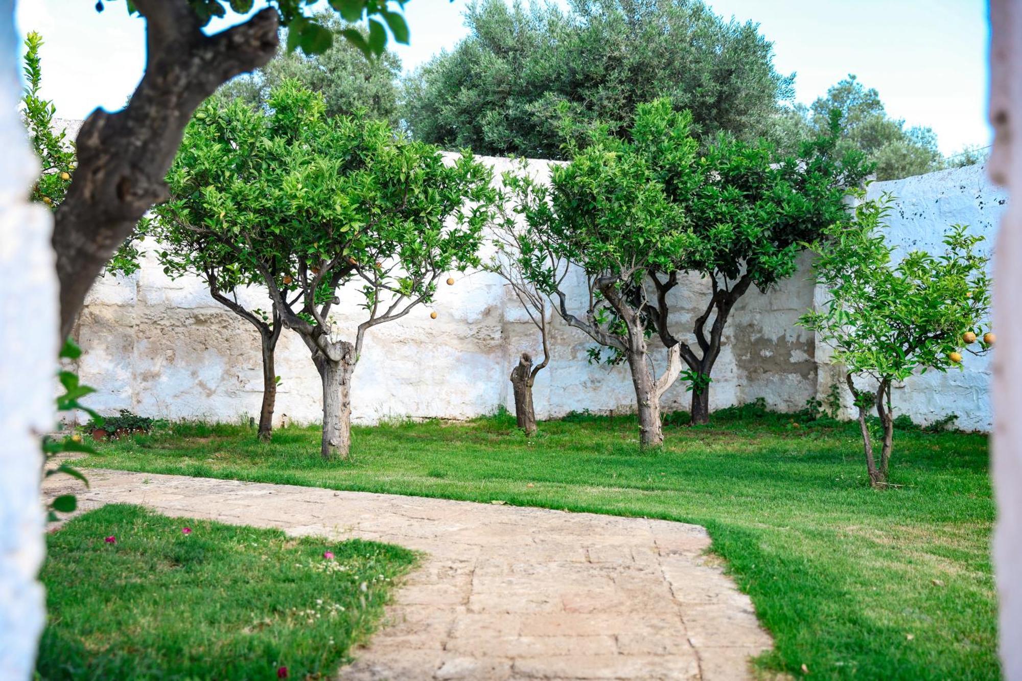 Masseria Piccole Taverne Rosa Marina Dış mekan fotoğraf